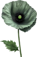 A poppy in hyper-realistic cartoon style. Ai-generated. png