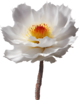en närbild av en öken- vild blomma i vibrerande färger, med delikat detaljer. ai-genererad. png