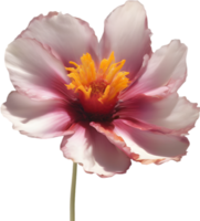 ein Nahansicht von ein Wüste Wildblume im beschwingt Farben, mit zart Einzelheiten. KI-generiert. png