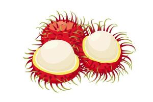 rambután Fruta icono.dibujos animados icono aislado en blanco antecedentes vector