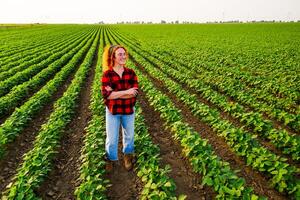 Portrait of female farmer who is cultivating soybean. She is satisfied with good progress of plants. Agricultural occupation. photo