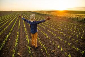 africano granjero es en pie en su creciente trigo campo. él es satisfecho con Progreso de plantas. foto