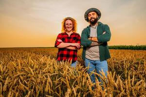 familia agrícola ocupación. hombre y mujer son cultivando trigo. ellos son satisfecho con bueno Progreso de plantas. foto