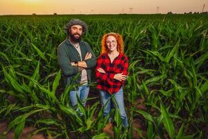 Family agricultural occupation. Man and woman are cultivating corn. They are satisfied with good progress of plants. photo