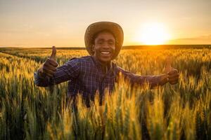 retrato de africano granjero en su creciente trigo campo. él es satisfecho con Progreso de plantas. foto