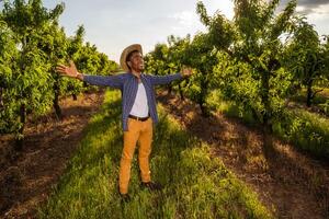 Portrait of african-american farmer in his orchard. He is cultivating plum. photo