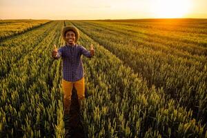 African farmer is standing in his growing wheat field. He is satisfied with progress of plants. photo