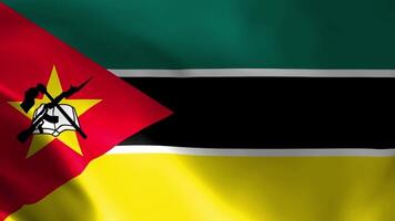 de vlag van Mozambique fladderend in de wind. gedetailleerd kleding stof textuur. video