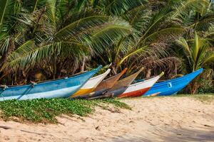 Tropical beach with row of fishing boats, Mirissa, Sri lanka photo