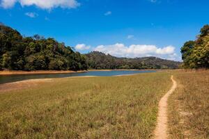 Periyar wildlife sanctuary, India photo