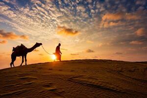 Indian cameleer camel driver with camel silhouettes in dunes on sunset. Jaisalmer, Rajasthan, India photo