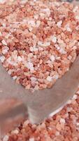 Raw dried pink Himalayan salt video