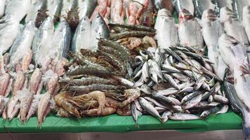 fresco pesce nel ghiaccio a Locale mercato negozio video