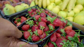 Close up of hands taking small plastic box of fresh strawberries in store.. video