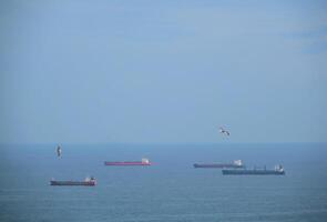 carga buques en mar y gaviotas volador en el aire foto