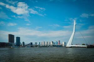 View of Rotterdam over Nieuwe Maas with Erasmusbrug bridge. Rottherdam, the Netherlands photo