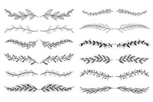 Floral ornament dividers set in hand drawn design. Herbs and twigs vignetting elements. Bundle of botanical ornaments scrolls decoration and decorative branch. illustration isolated collection vector