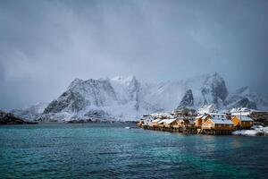 amarillo rorbu casas, lofoten islas, Noruega foto