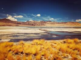 Salt lake Tso Kar in Himalayas. Ladakh, India photo