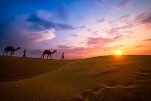 Indian cameleers camel driver with camel silhouettes in dunes on sunset. Jaisalmer, Rajasthan, India photo