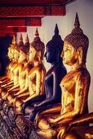 Sitting Buddha statues, Thailand photo