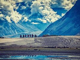 Tourists riding camels in Nubra valley in Himalayas, Ladakh photo