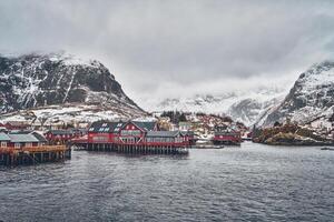 A village on Lofoten Islands, Norway photo