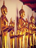 Sitting Buddha statues, Thailand photo