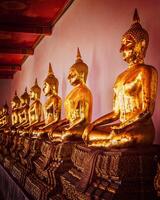 Sitting Buddha statues, Thailand photo