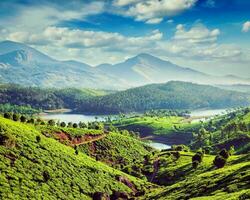 Tea plantations and river in hills near Munnar, Kerala, India photo