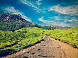 la carretera en té plantaciones, India foto