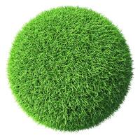 Green grass sphere isolated photo