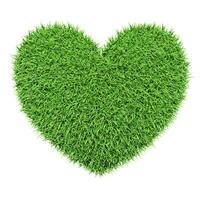 Green heart made of grass isolated on white photo