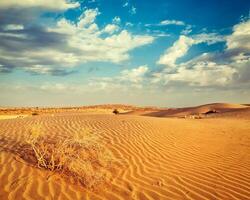 Dunes of Thar Desert, Rajasthan, India photo