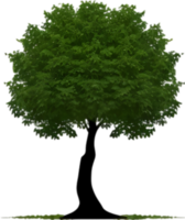 fermer image de arbre logo. ai-généré. png