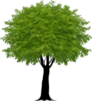 Close-up image of Tree logo. AI-Generated. png