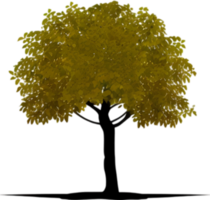 Close-up image of Tree logo. AI-Generated. png