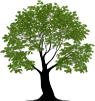 detailopname beeld van boom logo. ai-gegenereerd. png