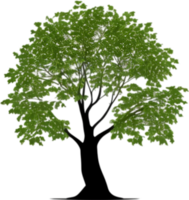 fermer image de arbre logo. ai-généré. png