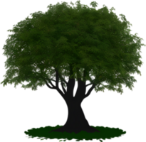 Close-up image of Tree logo. AI-Generated. png