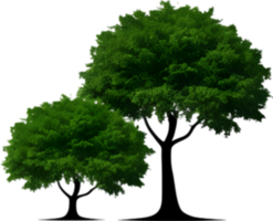 Close-up image of Tree logo. AI-Generated. png