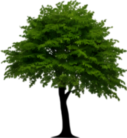 Close-up image of Tree logo. AI-Generated. png