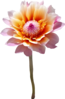 ein Nahansicht von ein Wüste Wildblume im beschwingt Farben, mit zart Einzelheiten. KI-generiert. png