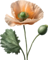 een papaver in hyperrealistisch tekenfilm stijl. ai-gegenereerd. png