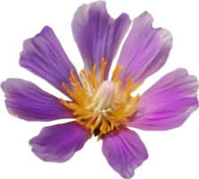 A close-up of a desert wildflower in vibrant colors, with delicate details. Ai-generated. png