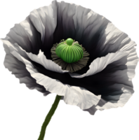 A poppy in hyper-realistic cartoon style. Ai-generated. png