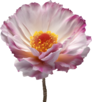 een detailopname van een woestijn wilde bloemen in levendig kleuren, met delicaat details. ai-gegenereerd. png