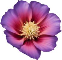 en närbild av en öken- vild blomma i vibrerande färger, med delikat detaljer. ai-genererad. png