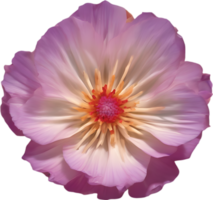 A close-up of a desert wildflower in vibrant colors, with delicate details. Ai-generated. png