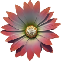 A close-up of a desert wildflower in vibrant colors, with delicate details. Ai-generated. png